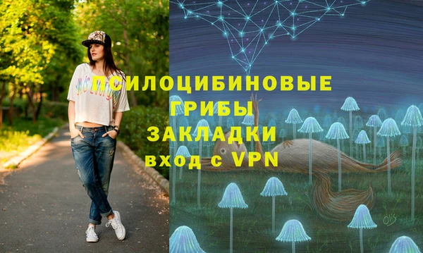 спайс Дмитровск