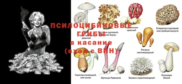спайс Дмитровск
