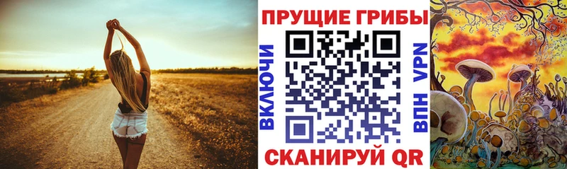 Галлюциногенные грибы ЛСД  Электрогорск 